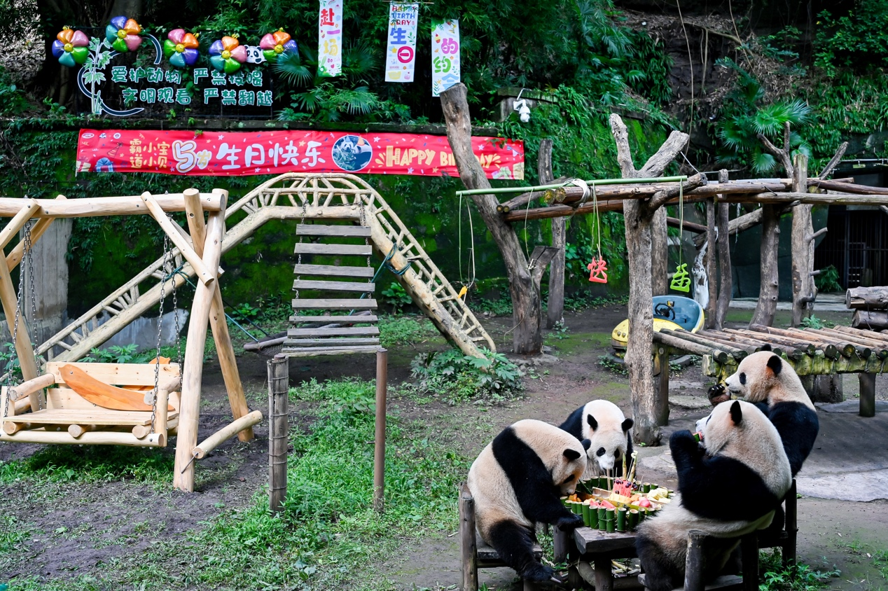 1719449384953951.png 1719449384953951.png